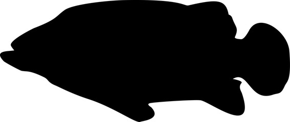 Fish Silhouette Black Color Illustration