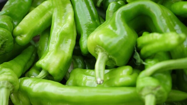 A vibrant display of fresh green friggitelli peppers at an Italian market, a staple of Mediterranean cuisine, perfect for frying or adding a sweet, mild flavor to dishes.