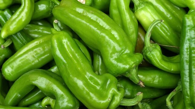 Frigitelli, the tender and flavorful Italian peppers, are a staple in markets, known for their versatility in Mediterranean cuisine and fresh summer dishes.