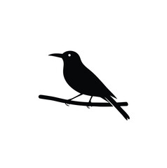 bird on a branch