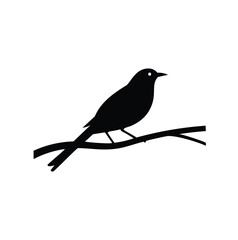 bird on a branch with leaves