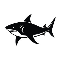bull-shark vector illustration