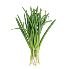 Fototapeta premium Fresh green chives slender and delicate isolated on white Perfect for food health or wellness concepts