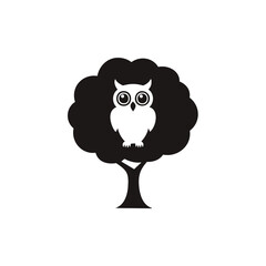 owl on a branch
