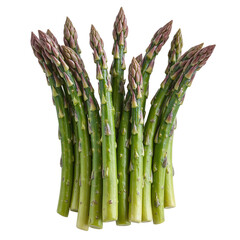 Fresh asparagus spears with vibrant green stalks and purple tinged tips glistening with moisture on a clean white background