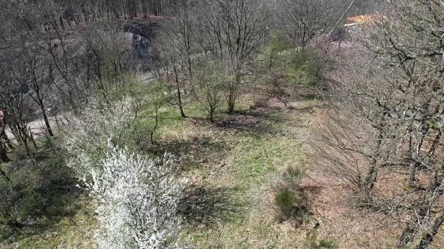Neubau der Rahmede Talbr&uuml;cke A 45 Sauerlandlinie im M&auml;rz 2025 / L&uuml;denscheid, Sauerland, NRW    