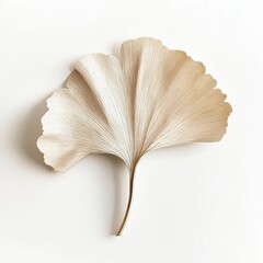Elegant Ginkgo Leaf Art Piece Natural Beauty Simplicity in Botanical Decor Aesthetic Home Accent