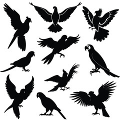 Obraz premium Vector silhouettes set of birds at tree branches and isolated background.