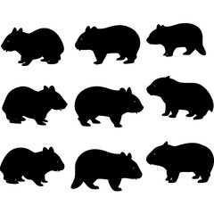 set of wombats, collection of silhouettes of black vector