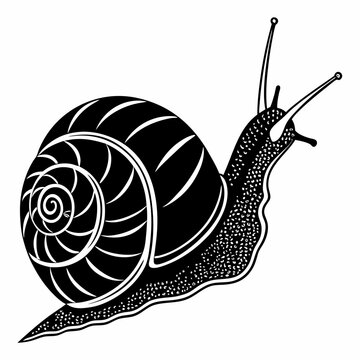 recommend clip art: snail black silhouette icon vector