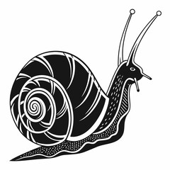 snail black silhouette icon vector
