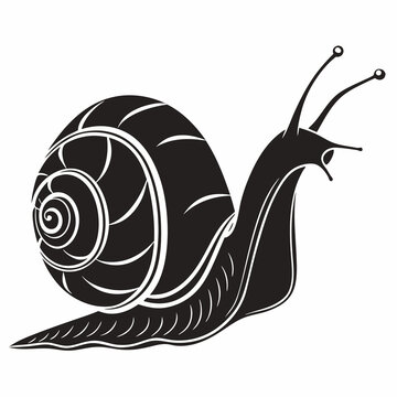 recommend clip art: snail black silhouette icon vector