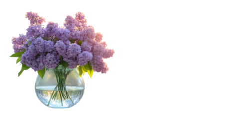 Lilac Flowers in Glass Vase