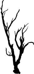 Dead tree silhouette