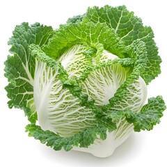 Whole head of savoy cabbage with textured green leaves isolated on white background. Studio food photography. Organic vegetable and healthy eating concept. Design for poster, banner, print, wallpaper.