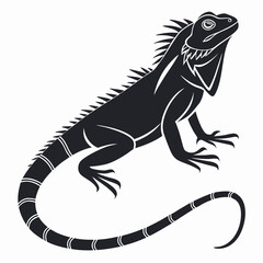 Iguana silhouette icon vector