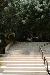 Staircase with handrail and trees in the background