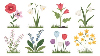 set of spring flowers