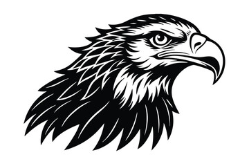 head of eagle