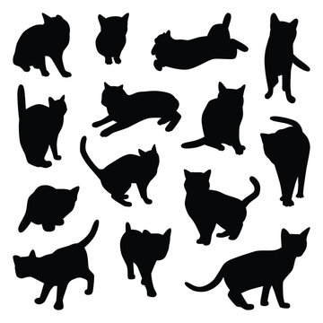 Vector collection set of domestic cat silhouettes.	
