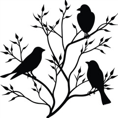 Birds silhouette vector collection white background.