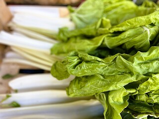 Vibrant Harvest: Captivating Fruit and Vegetable Photography Showcasing Nature&rsquo;s Artistry: Chard