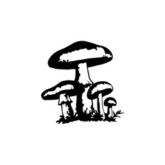 Illustration A group of hand-drawn mushrooms