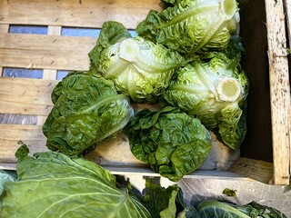 Vibrant Harvest: Captivating Fruit and Vegetable Photograph Showcasing Nature’s Artistry: Gem...