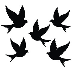 Birds silhouette vector collection white background.