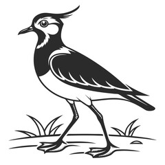 Lapwing silhouette icon vector