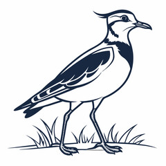 Lapwing silhouette icon vector