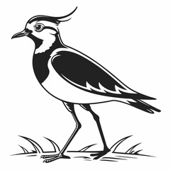 Lapwing silhouette icon vector
