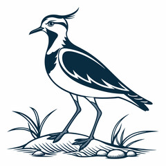 Lapwing silhouette icon vector