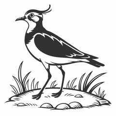 Lapwing silhouette icon vector