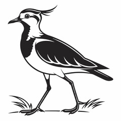 Lapwing silhouette icon vector