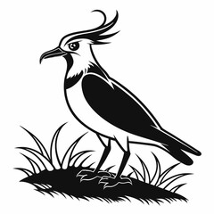 Lapwing silhouette icon vector