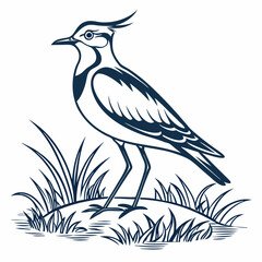 Lapwing silhouette icon vector