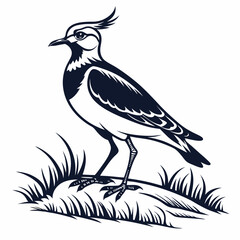 Lapwing silhouette icon vector