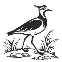 Lapwing silhouette icon vector
