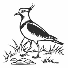 Lapwing silhouette icon vector