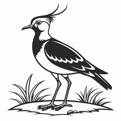 Lapwing silhouette icon vector