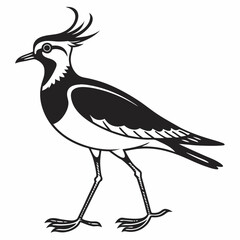 Lapwing silhouette icon vector