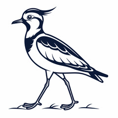 Lapwing silhouette icon vector
