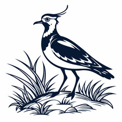 Lapwing silhouette icon vector