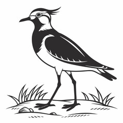 Lapwing silhouette icon vector