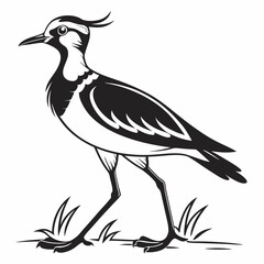Lapwing silhouette icon vector