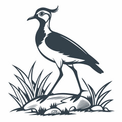 Lapwing silhouette icon vector