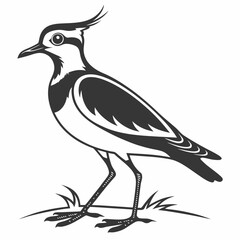 Lapwing silhouette icon vector