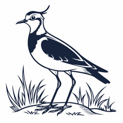 Lapwing silhouette icon vector