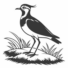 Lapwing silhouette icon vector